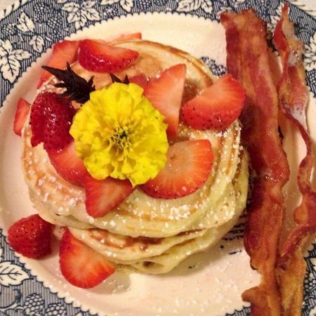 Nauset House Inn Orleans Luaran gambar