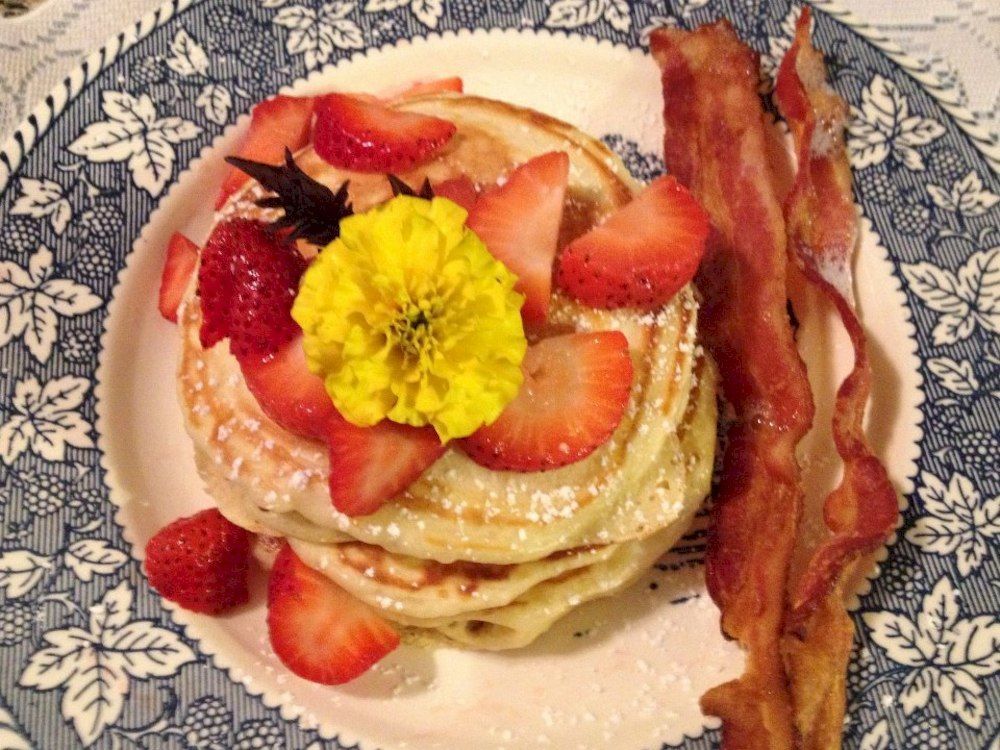 Nauset House Inn Orleans Luaran gambar