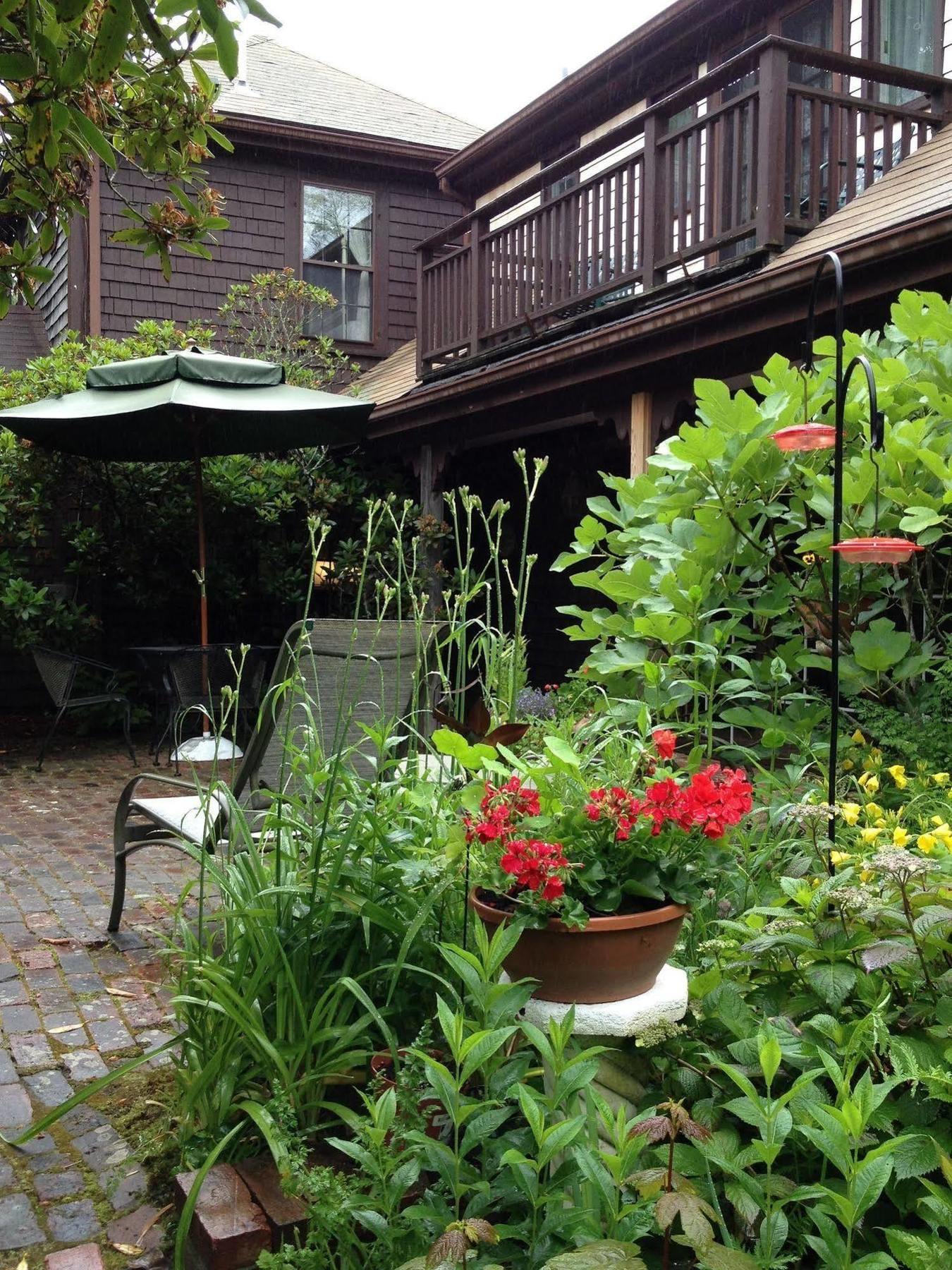 Nauset House Inn Orleans Luaran gambar
