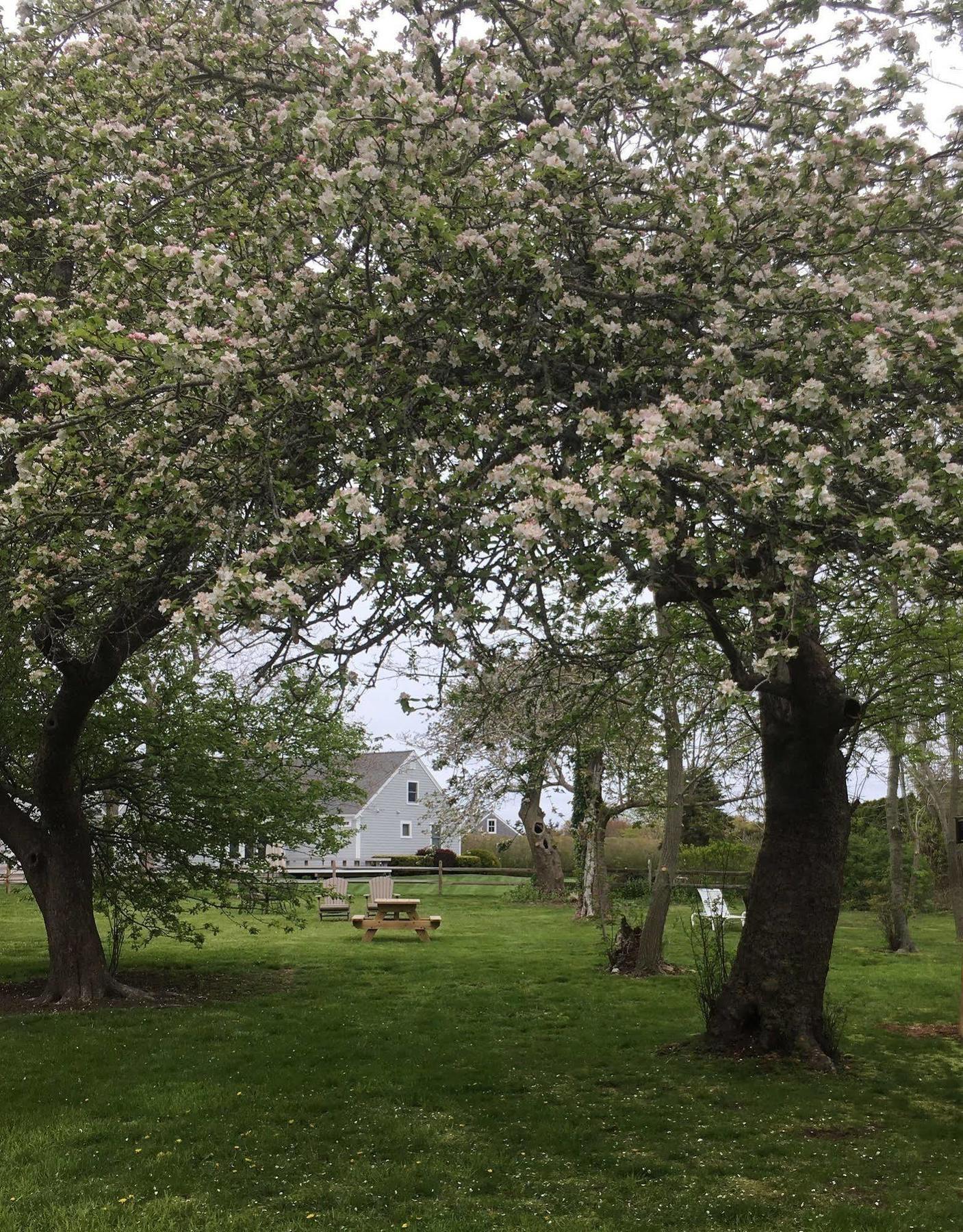 Nauset House Inn Orleans Luaran gambar